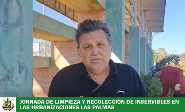 JORNADA DE LIMPIEZA Y RECOLECCIÓN DE INSERVIBLES EN LAS URBANIZACIONES LAS PALMAS Y PALMA REAL ES VALORADA POR LA JUNTA