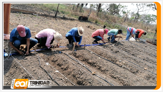 CAMPAÑA “ELIMINEMOS LAS CUNETAS”