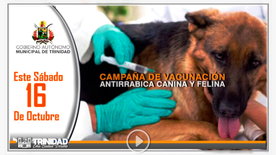 CAMPAÑA “ELIMINEMOS LAS CUNETAS”