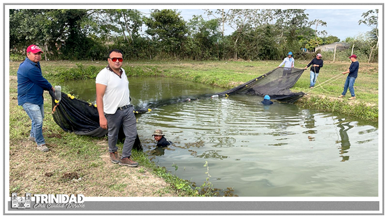 gamtrinidad