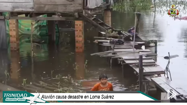 aludion loma suarez