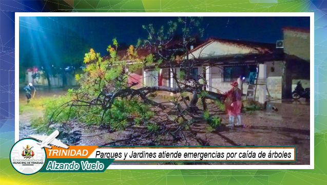 caida arboles